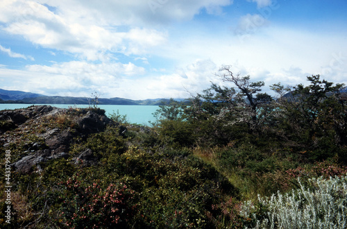 Chile Patagonien / San Pedro de Atacama / Torres del Paine Südamerika 