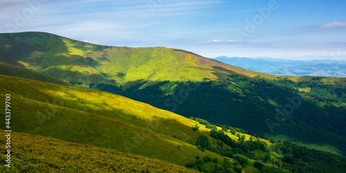 rolling hills an meadows of borzhava ridge. beautiful nature scenery with grassy slopes in dappled light. wonderful summer landscape of ukrainian carpathian mountains on a sunny day