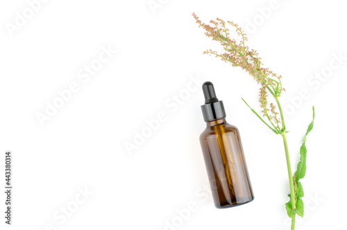 Herbs and dark glass bottles on a white background with place for text. Flat lay, top view, copy space. Skin care and beauty treatment concept
