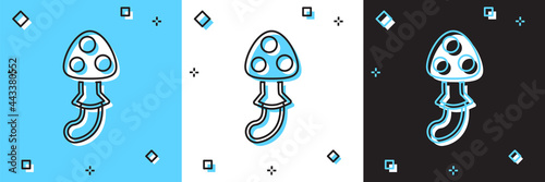 Set Psilocybin mushroom icon isolated on blue and white, black background. Psychedelic hallucination. Vector