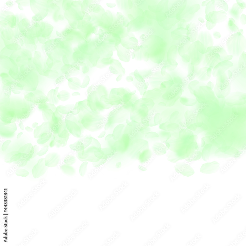 Green flower petals falling down. Impressive roman Green flower petals falling down. Impressive roman