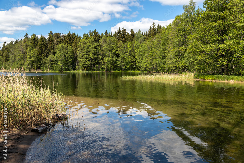 Fototapeta premium Valdai National Park. Boat on Lake Valdai. Novgorod region. Russia.
