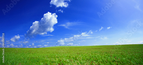Green meadows with blue sky