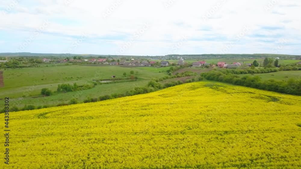 Aerial drone view of green agricultural field in the countryside of Ukraine Aerial drone view of green agricultural field in the countryside of Ukraine