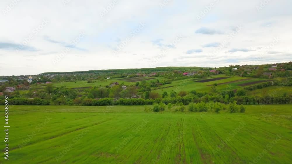 Aerial drone view of green agricultural field in the countryside of Ukraine