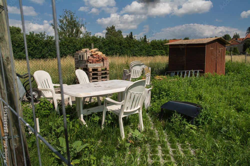 Fotografie verwilderter garten