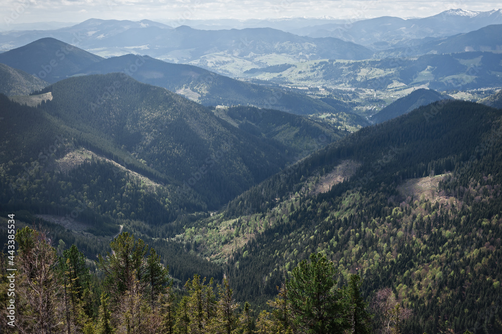Landscape of mountain range, forest and clouds in Rotilo mountain area in the Carpathians, Ukraine. Mountains landscape. Landscape of mountain range, forest and clouds in Rotilo mountain area in the Carpathians, Ukraine. Mountains landscape.