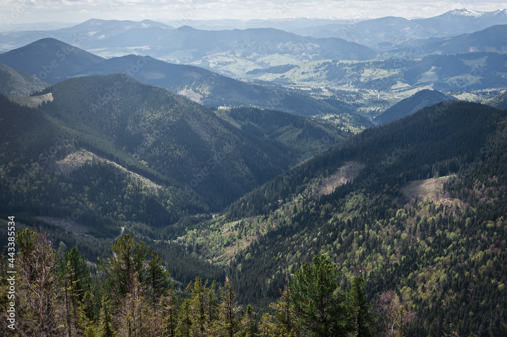 Landscape of mountain range, forest and clouds in Rotilo mountain area in the Carpathians, Ukraine. Mountains landscape.