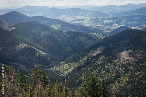 Landscape of mountain range, forest and clouds in Rotilo mountain area in the Carpathians, Ukraine. Mountains landscape.