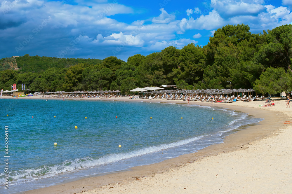 Koukounaries , the world-famous beach of the island of Skiathos in Greece, combines the green of the pine, the blonde sand and the crystal clear sea.