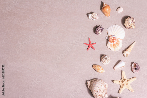 Summer vacation concept. Assorted seashells on sandy stone background