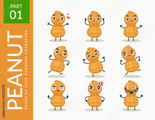 Mascot images of the Peanut. First set. Vector Illustration