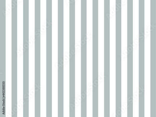 Striped background. Gray-white texture . Abstract designer fabric . Geometric wallpaper with vertical lines. Textile background. Seamless striped illustration. Retro paper . Classic gray art. Vector.