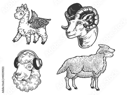 Sheep farm animal fashion set line art sketch engraving vector illustration. T-shirt apparel print design. Scratch board imitation. Black and white hand drawn image.