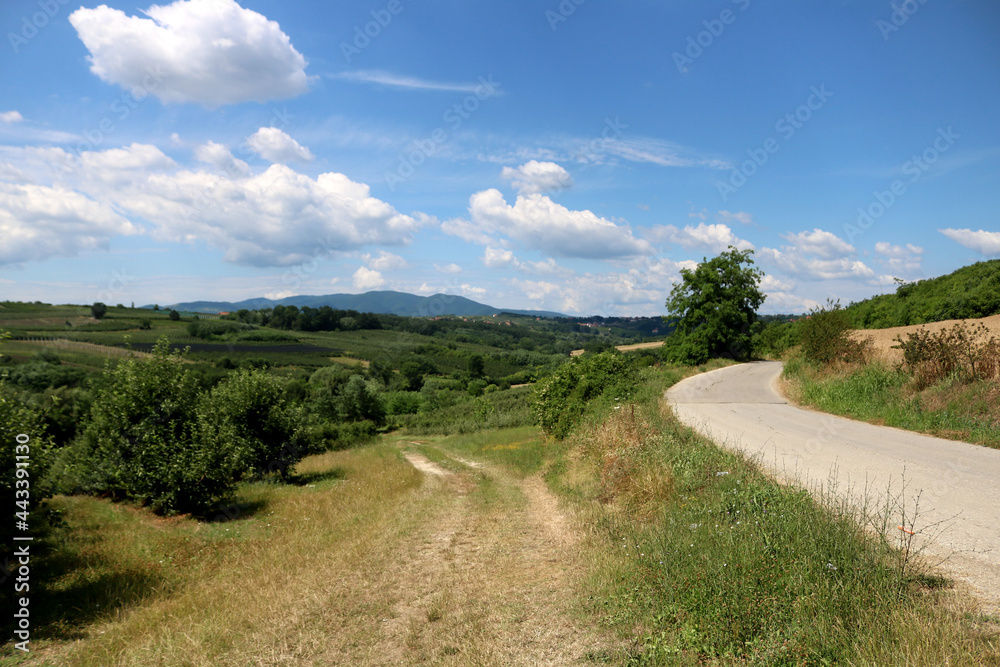 Landscape of Serbia Mountain. Green meadows and hills under blue sky with clouds in springtime