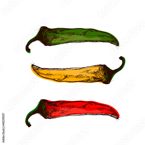 Hot chilli peppers t-shirt design, vector art