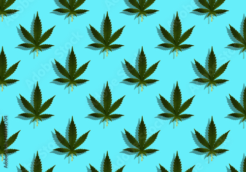 A cannabis leaf on a light blue background. Seamless pattern with the marijuana logo.