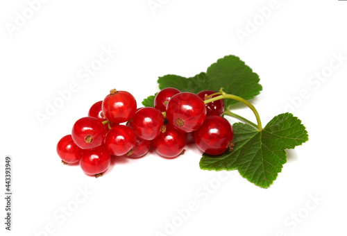 Red currant berries with green leaves close-up, isolate on a white background