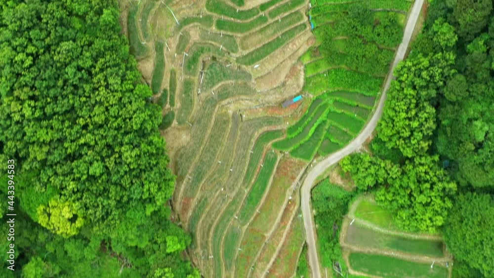 豆の小島　ドローン撮影