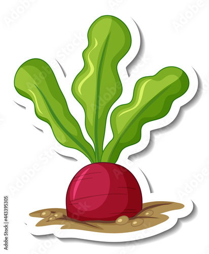 Sticker template with beetroot in underground isolated