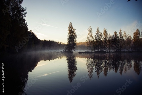 forest lake in autumn. trees with golden leaves, fog over the water
