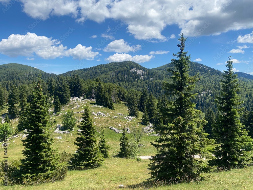 Northern Velebit national park in Croatia, landscape Northern Velebit national park in Croatia, landscape