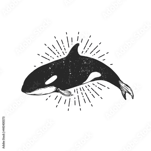 Logo of killer whale, flat orca for poster or icon