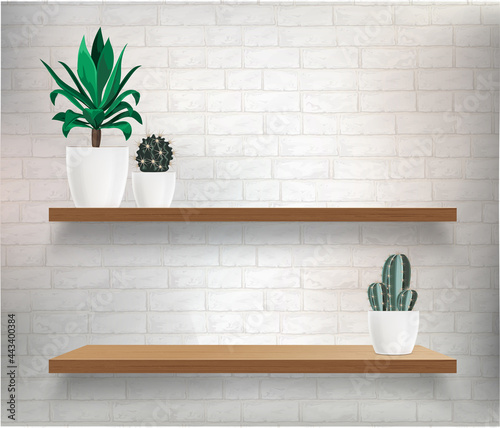  Vector wooden shelves with plants and glass retro vase. Vector mockup for interior with shelves and light wall. 