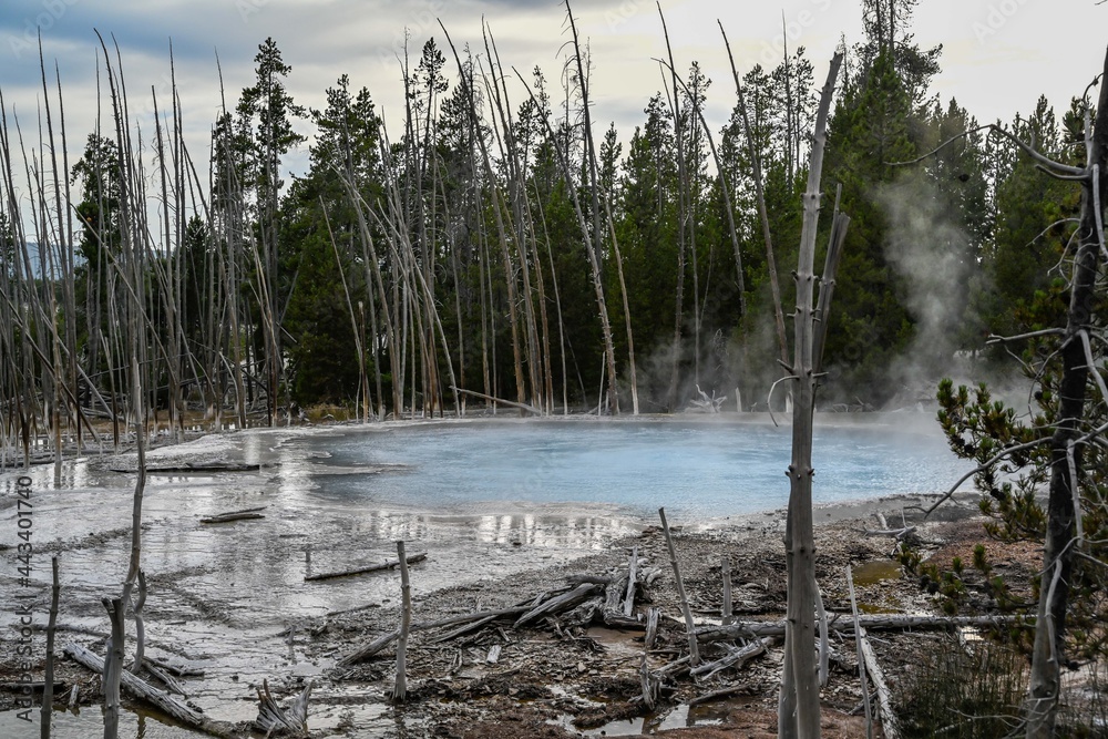 The Cistern Spring in Yellowstone National Park, Wyoming