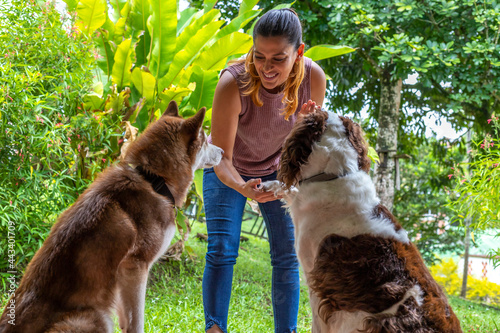 Fotografie Young woman in home teaching her two dogs to give a paw as a greeting by rewardi