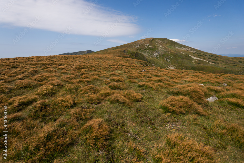 Mount Brebeneskul in Chornohora ridge of Carpathian Mountains, Ukraine