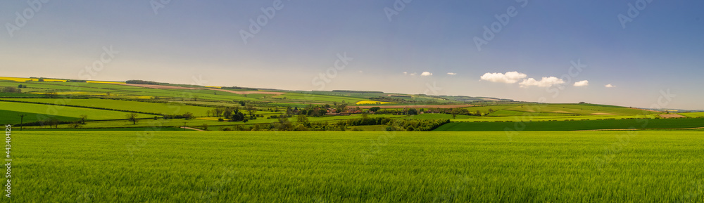 Panoramic view of the Yorkshire Wolds near Duggleby, North Yorkshire
