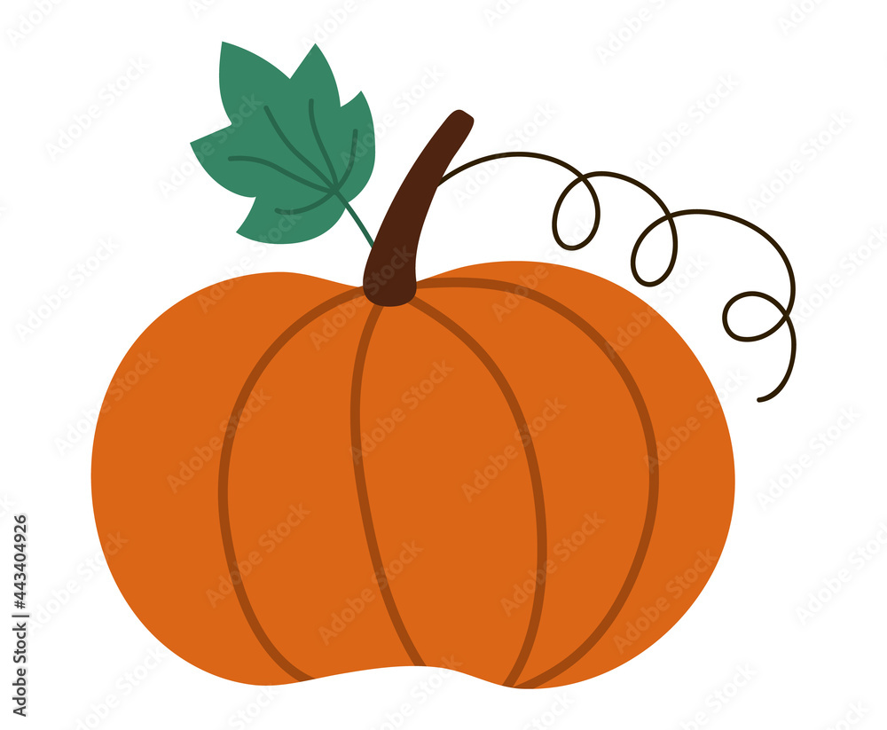 Vector cute pumpkin. Autumn vegetable. Flat style orange squash. Funny veggie harvest illustration isolated on white background. Traditional thanksgiving food or Halloween symbol Vector cute pumpkin. Autumn vegetable. Flat style orange squash. Funny veggie harvest illustration isolated on white background. Traditional thanksgiving food or Halloween symbol