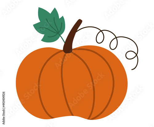 Vector cute pumpkin. Autumn vegetable. Flat style orange squash. Funny veggie harvest illustration isolated on white background. Traditional thanksgiving food or Halloween symbol