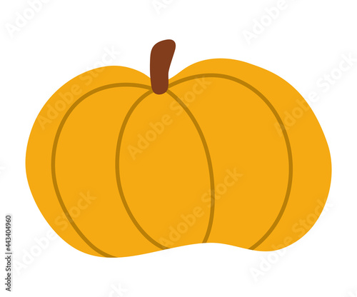 Vector cute pumpkin. Autumn vegetable. Flat style orange squash. Funny veggie harvest illustration isolated on white background. Traditional thanksgiving food or Halloween symbol