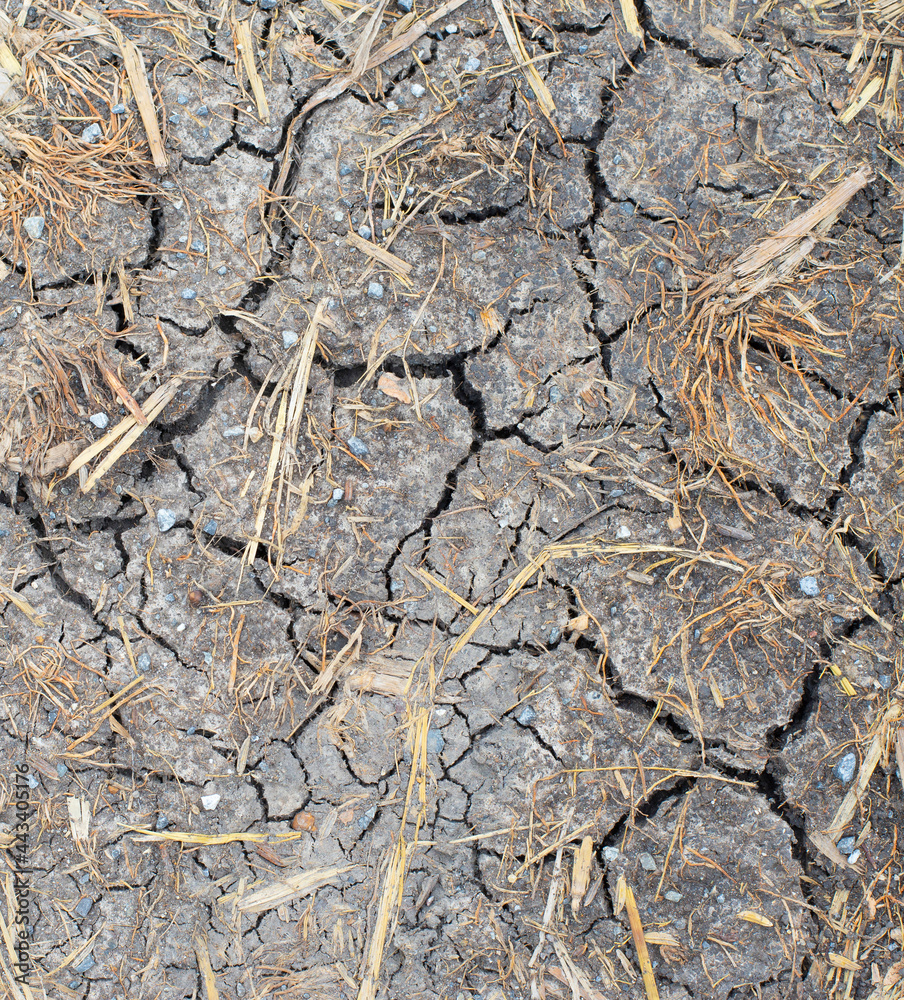 Arid ground, dry, cracked soil, lack of moisture.