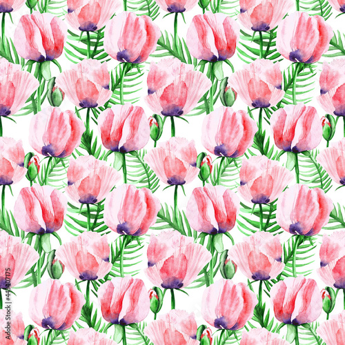 Botanical seamless pattern. Poppy flowers are hand-drawn on a white background. Watercolor of petals  leaves  branches. Natural plants in bloom. Inspirational design for womenswear  textiles.