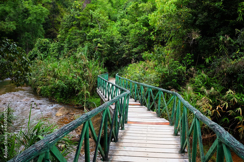 Fototapeta Naklejka Na Ścianę i Meble -  Beautiful nature forest with green wooden bridge over the stream is path way into the jungle on mountain at Thailand