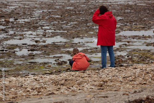 Une petite fille et une femme adulte ramassent des coquillages sur une plage à marée basse sur la presqu´île du Morbihan Bretagne France. photo