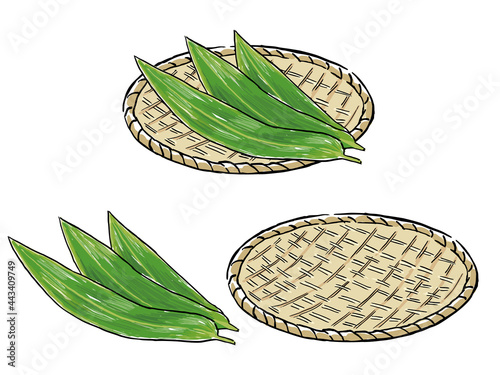 Bamboo colander and bamboo leaves 水彩風竹のザルと笹の葉