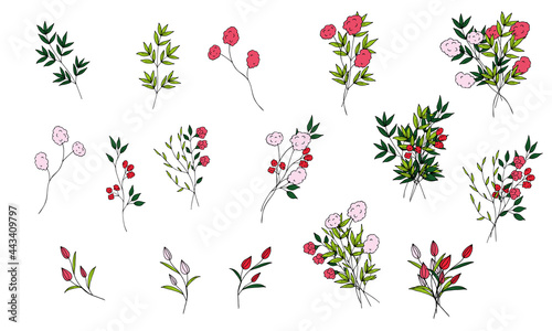 Wallpaper Mural Set of cute field mini bouquets of vector flowers and branches in doodle style on a white background. Simple flowers and plants. Isolated objects. Torontodigital.ca