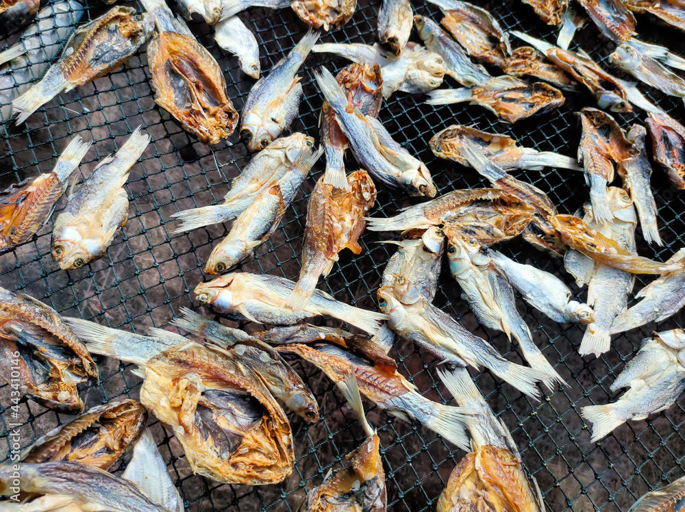 Dried fish dried in the backyard, dried fish is usually widely sold and eaten during the monsoon season, when fishermen cannot go fishing at sea due to big waves.