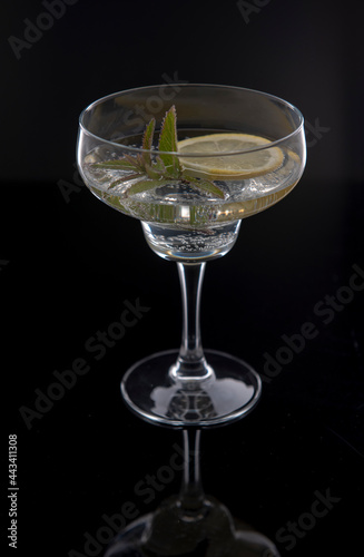 Vertical image of a Margarita on a black background 