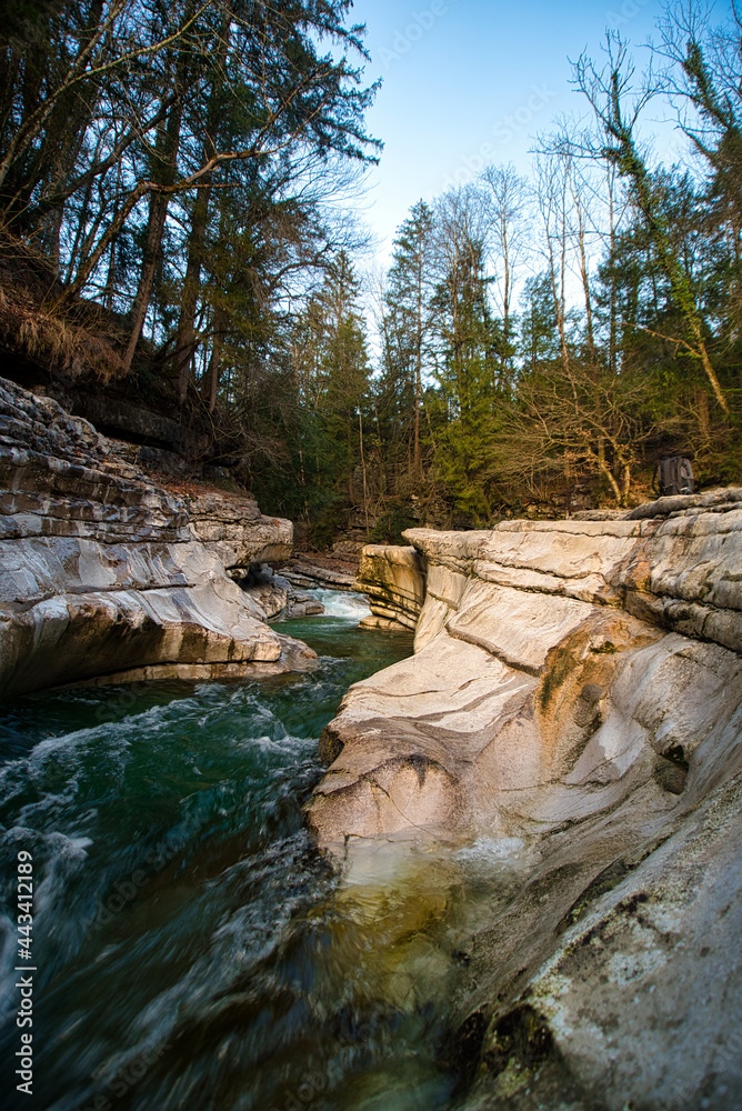 Fototapeta premium die taugl am tauglgries in st. kolomann tennengau salzburg in schönem abendlicht, taugl creek in beutiful evening light austrian alps