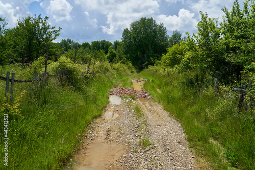 Muddy rural road in the countryside