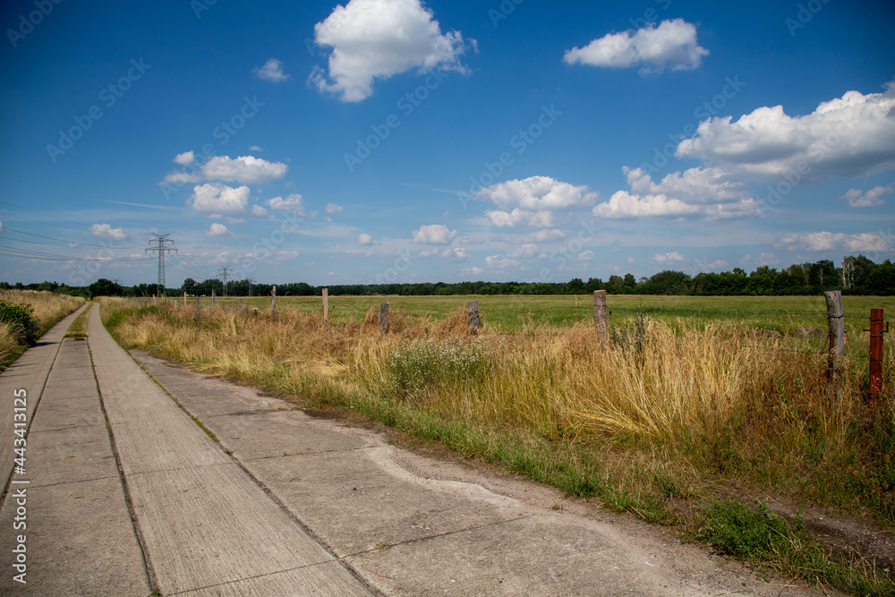 Straße in der Altmark entlang von Weiden und Feldern in der Altmark