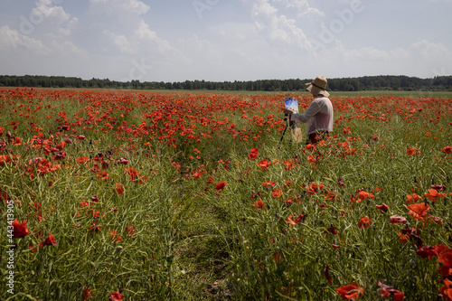 Mature woman artist paints a picture from nature on a field of blooming poppies, side view, scenic.