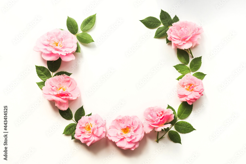 Flowers composition made of pink roses isolated on white background. Floral design. Flat lay, top view, copy space Flowers composition made of pink roses isolated on white background. Floral design. Flat lay, top view, copy space