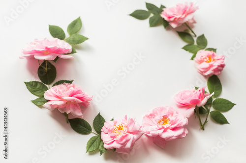 Flowers composition made of pink roses isolated on white background. Floral design. Flat lay, top view, copy space © vladdeep