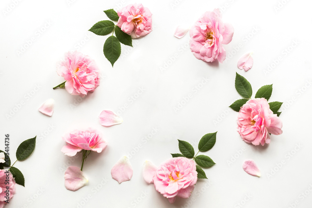 Flowers composition made of pink roses isolated on white background. Floral design. Flat lay, top view, copy space Flowers composition made of pink roses isolated on white background. Floral design. Flat lay, top view, copy space